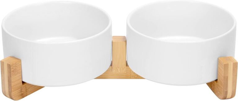 SPUNKYJUNKY Ceramic Double Bowl – Stylish and Safe
