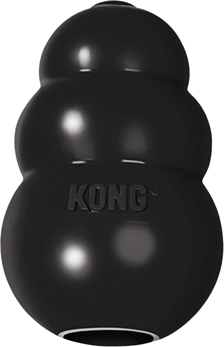 KONG Classic – The Indestructible Classic