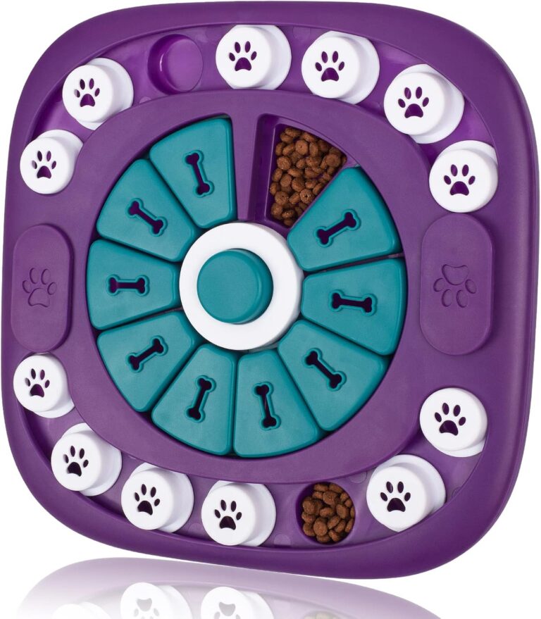 DSHZHM Intelligence Toy Level 3