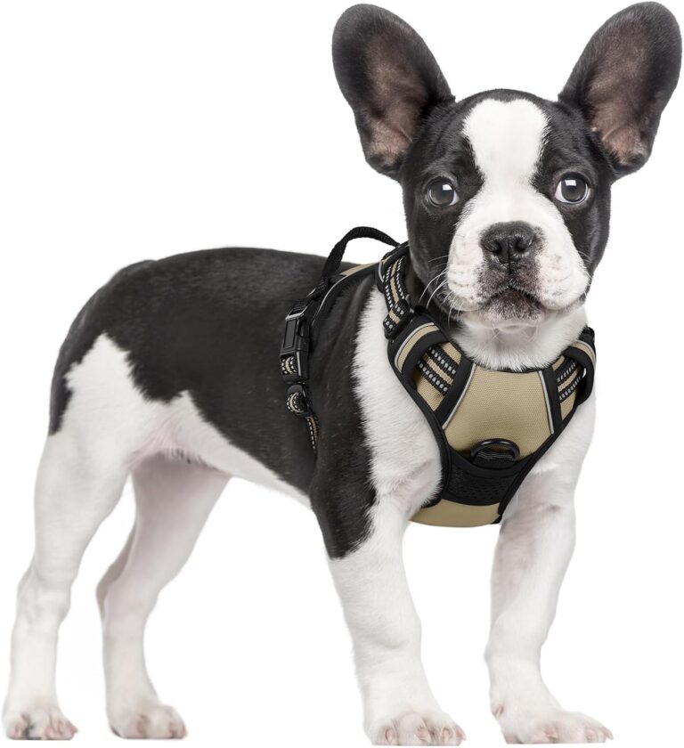 rabbitgoo Dog Harness – No Pulling, Many Colours