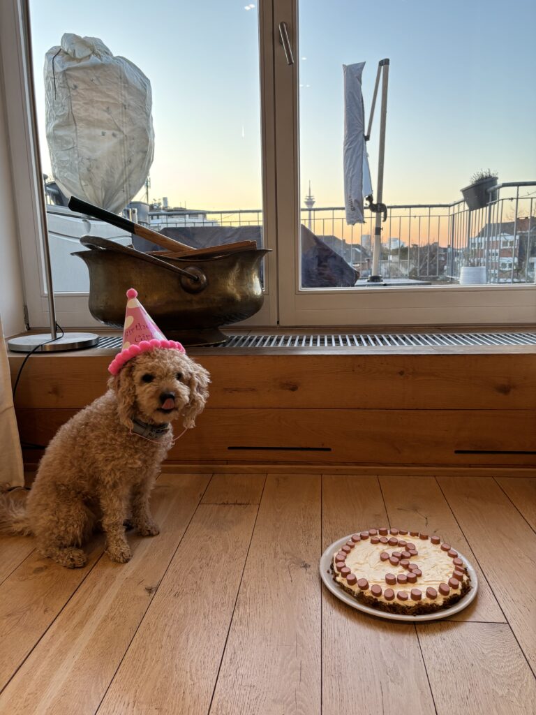 SUOXU Birthday Bandana Set