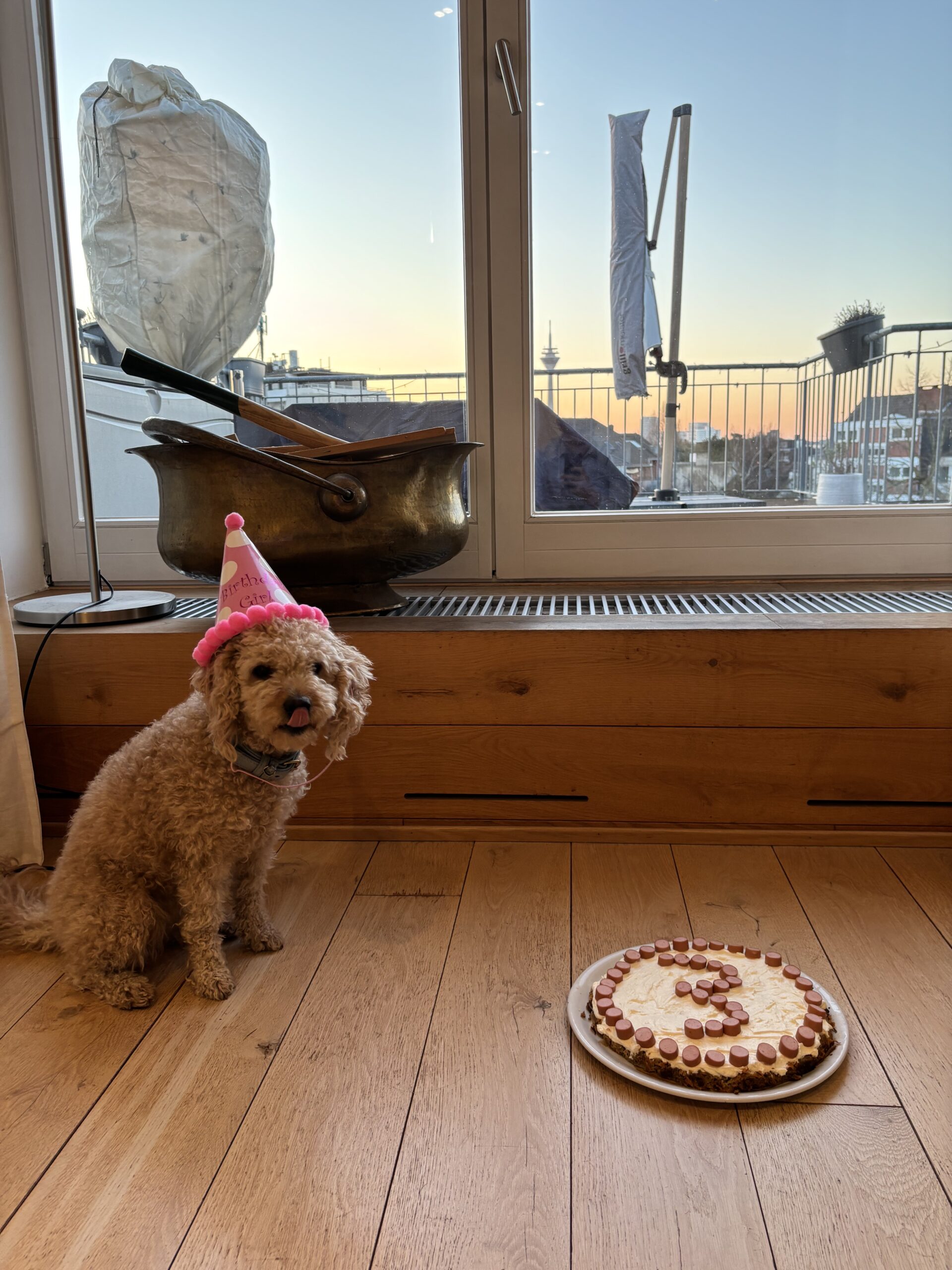 Frieda Birthday