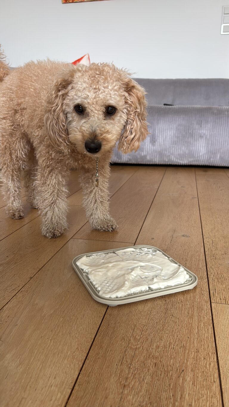 Schleckmatte – Hundeprodukt von by Frieda