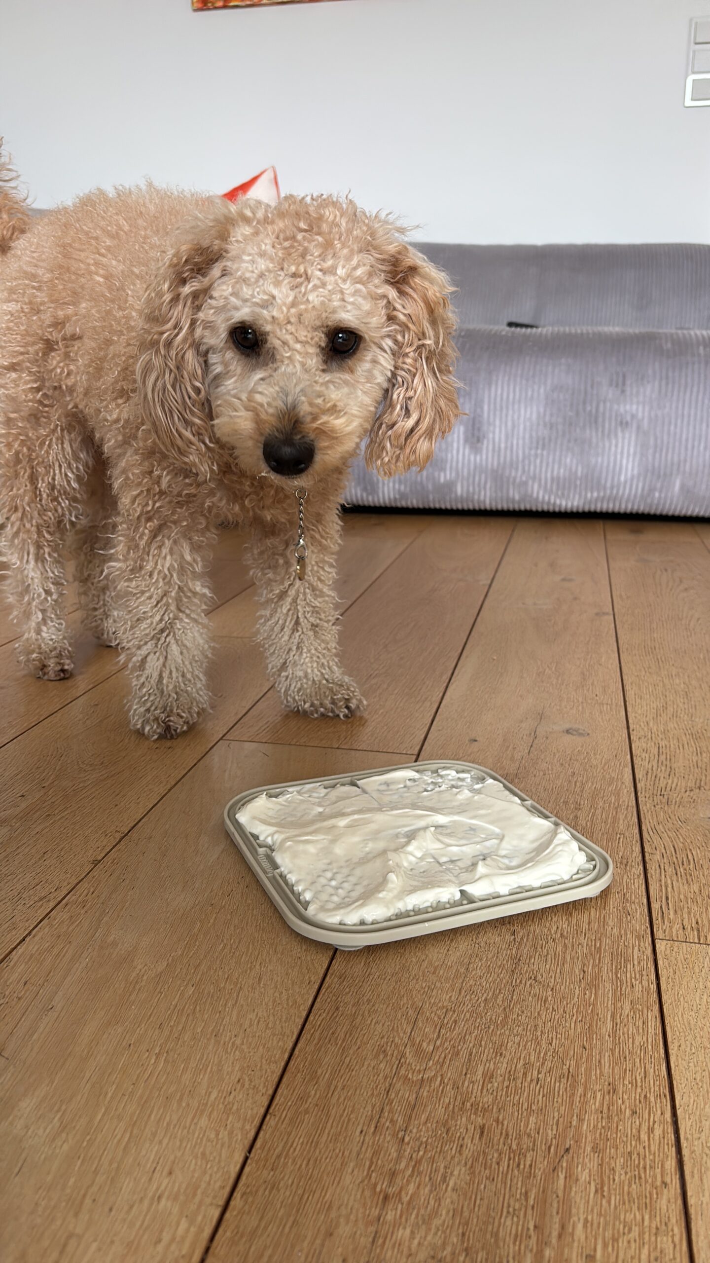 Schleckmatte – Hundeprodukt von by Frieda