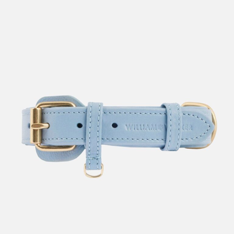 William Walker Sky Collar – Leather in Light Blue